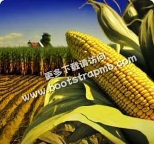专注体育资讯，每一次更新都至关重要 - 江南体育